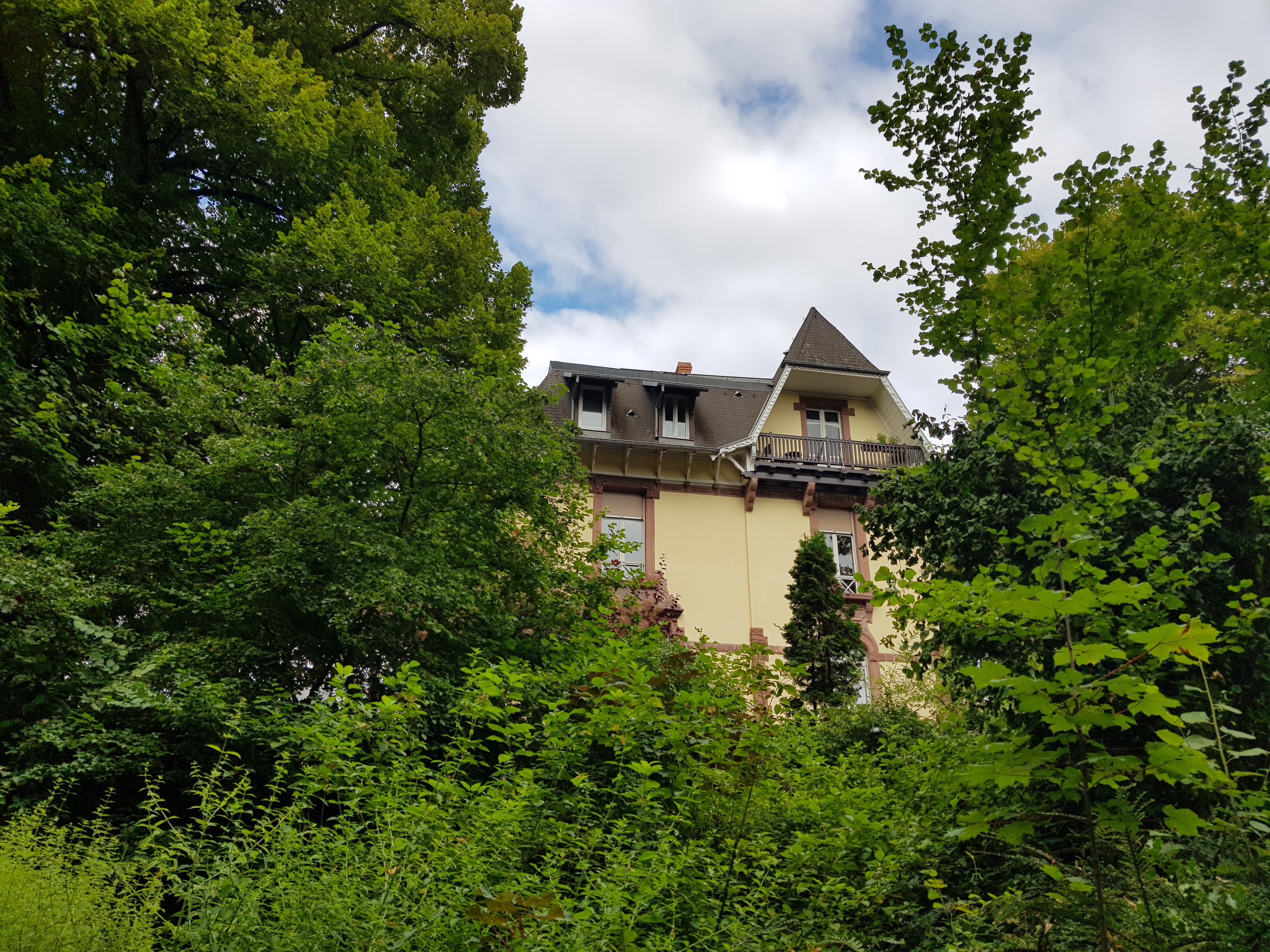 Photo n° 3 de l'avis de Dexeria. fait le 21/08/2021 à 15:43