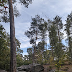Photo n° 8 de l'avis de lee.a fait le 24/10/2023 à 01:59 pour Les Gorges d'Apremont à Fontainebleau