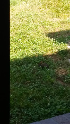 Recreation Center «Sevier Park Community Center», reviews and photos, 3021 Lealand Ln, Nashville, TN 37204, USA