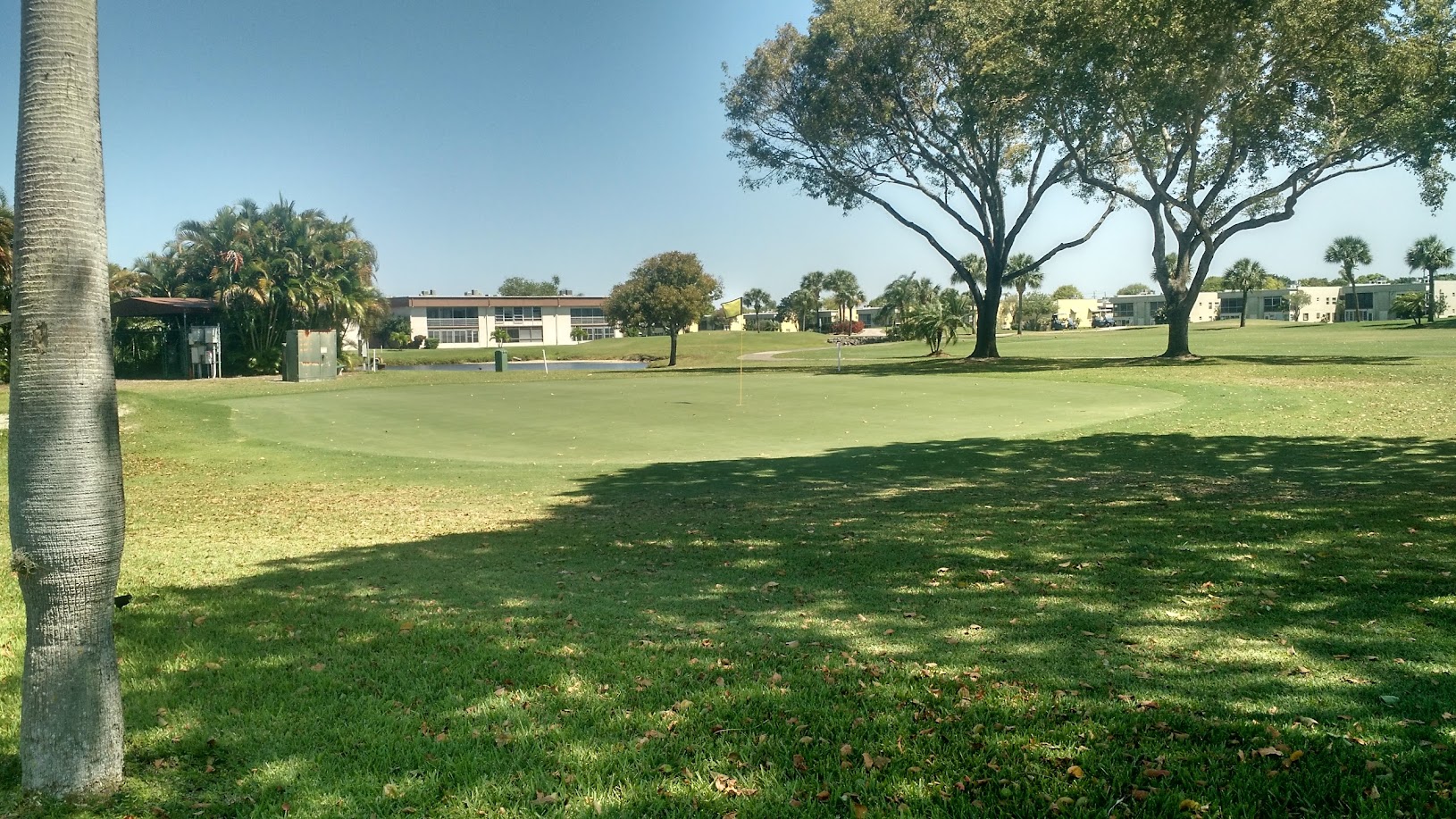 Kings Point Golf