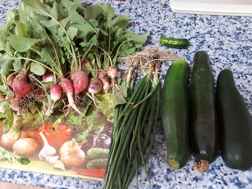 Información y opiniones sobre Bar La Taberna de Mondéjar