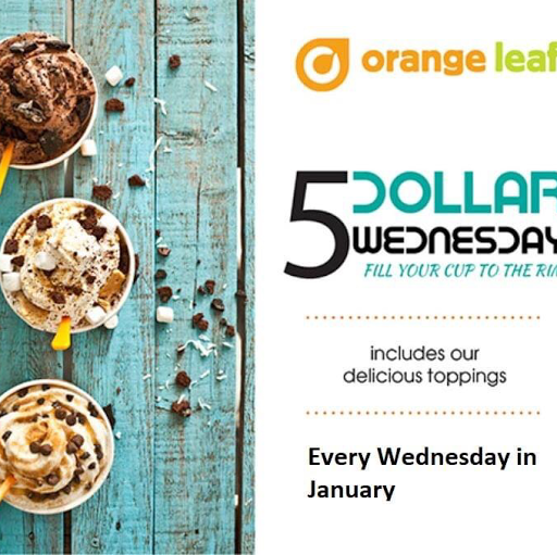 Frozen Yogurt Shop «Orange Leaf Frozen Yogurt», reviews and photos, 1350 NW 18th St, Ankeny, IA 50023, USA