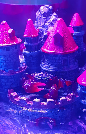 Pet Supply Store «PetSmart», reviews and photos, 934 W Street Rd, Warminster, PA 18974, USA