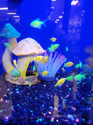 Pet Supply Store «PetSmart», reviews and photos, 1131 Sanguinetti Rd, Sonora, CA 95370, USA