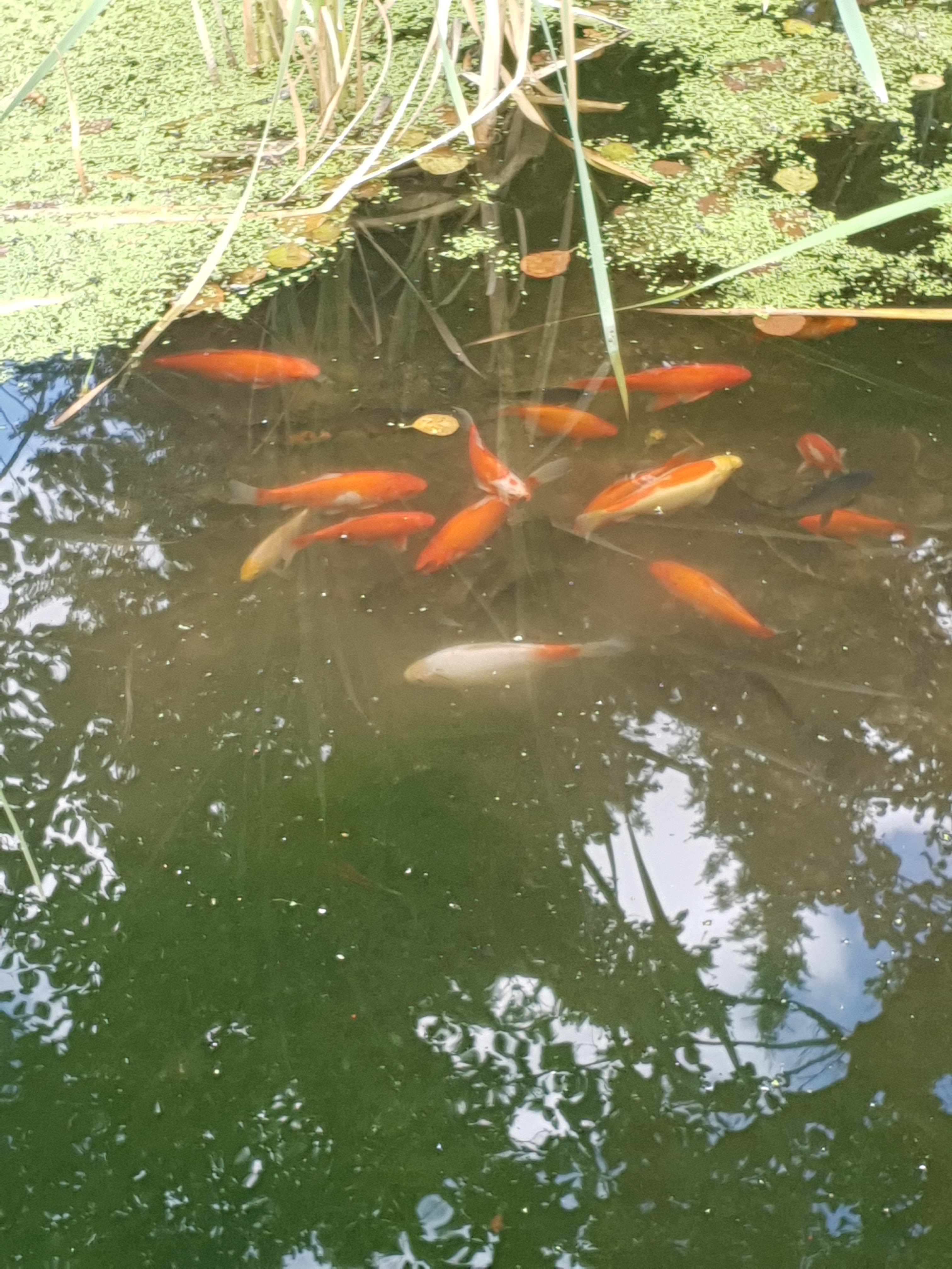 Photo n° 5 de l'avis de Adeline. fait le 23/08/2019 à 11:10