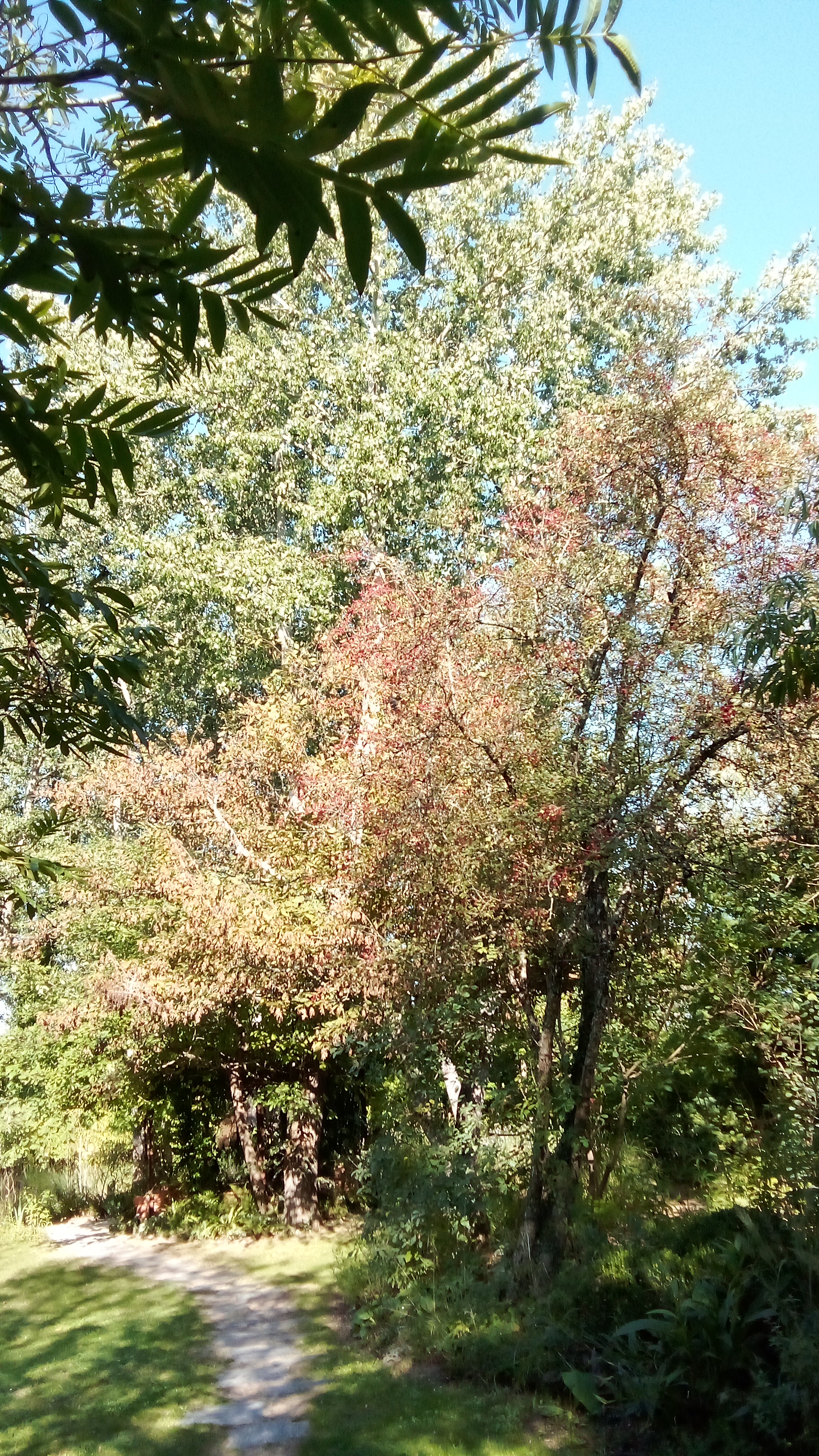 Photo n° 14 de l'avis de moel.o fait le 02/10/2023 à 17:52