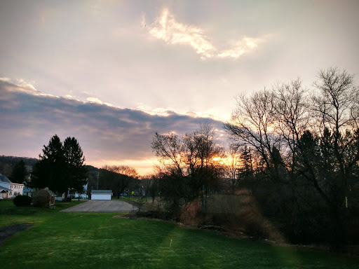 Home Goods Store «Dollar General», reviews and photos, 2649 Main St, Whitney Point, NY 13862, USA