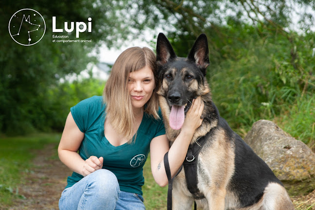 Beoordelingen van Lupi - Éducation et comportement animal in Andenne - Hondentrainer