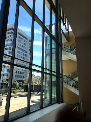 Performing Arts Theater «The Cannon Center For The Performing Arts», reviews and photos, 255 N Main St, Memphis, TN 38103, USA