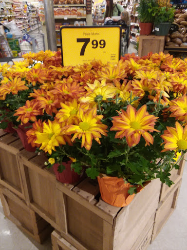 Grocery Store «Food Lion», reviews and photos, 1202 W Broad St, Elizabethtown, NC 28337, USA