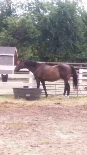 Vineyard «Baiting Hollow Farm Vineyard», reviews and photos, 2114 Sound Ave, Calverton, NY 11933, USA