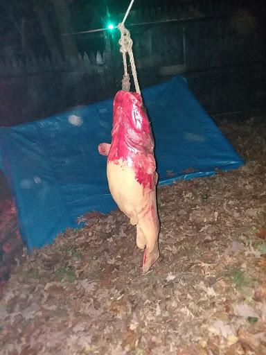 Haunted House «Pure Terror Scream Park», reviews and photos, 299 Museum Village Rd, Monroe, NY 10950, USA