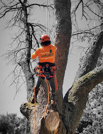 Ferrals Family Landscaping & Tree Services - Photo 2 - Car repair in Rockford, IL, Rockford
