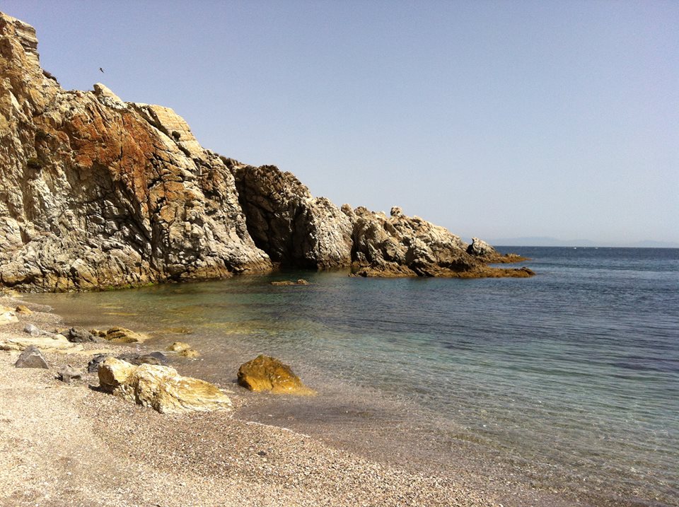 Playa Calamocarro'in fotoğrafı vahşi alan