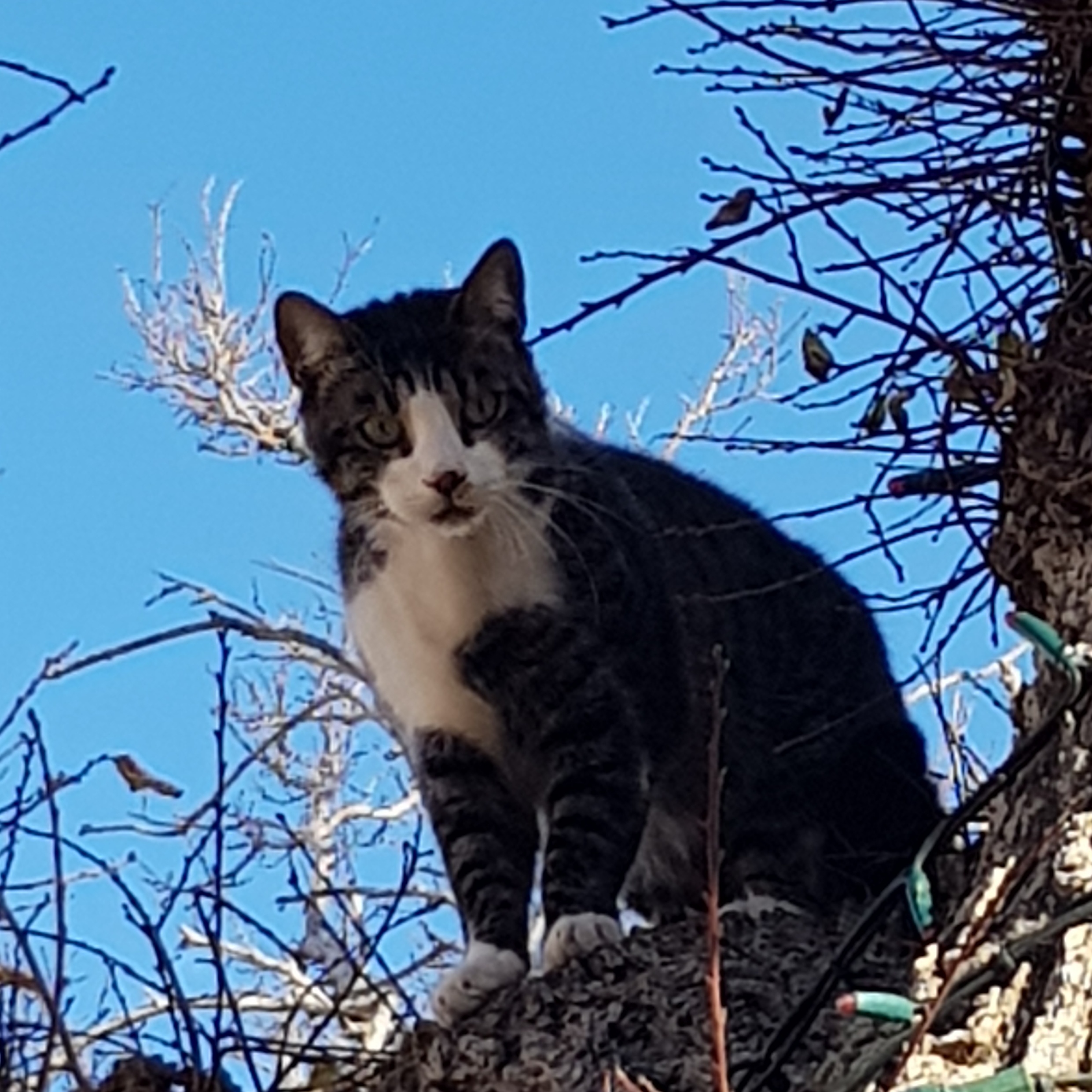 Photo n° 1 de l'avis de Fabienne.e fait le 04/03/2018 à 08:42
