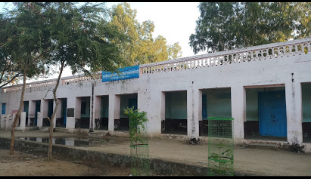 राजकीय आदर्श उच्च माध्यमिक विद्यालय सरसडी