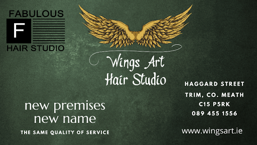 Wings Art Studio in Trim, Co. Meath