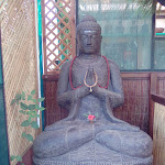 Photo n°2 de l'avis de Rui.l fait le 08/08/2019 à 08:00 sur le  Restaurante Casa Nirvana à São Martinho das Amoreiras