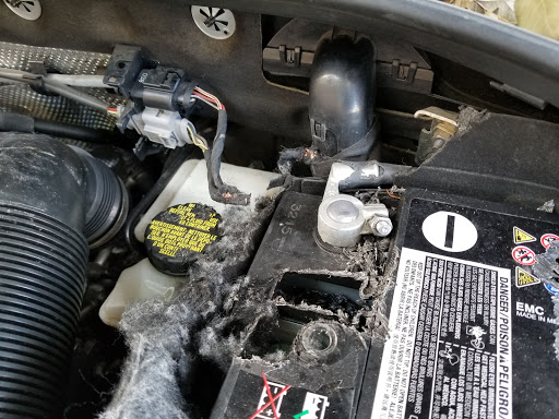 Auto Parts Store «AutoZone», reviews and photos, 2935 McDermott Rd, Plano, TX 75025, USA