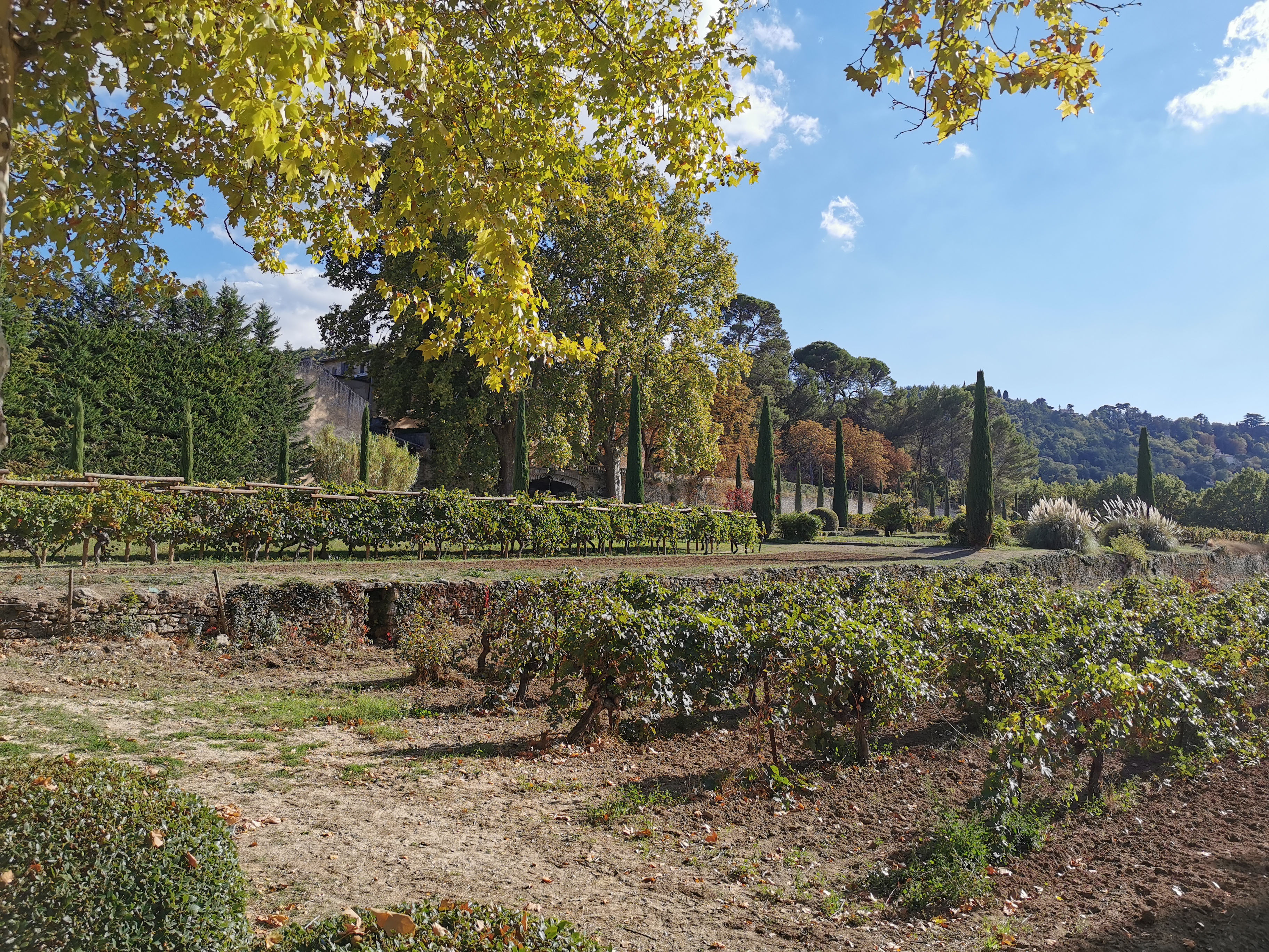 Photo n° 4 de l'avis de Ármin.� fait le 10/10/2022 à 17:40