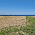 Photo n°21 de l'avis de Addy.d fait le 08/09/2023 à 18:01 sur le  Hofladen Straussenfarm Ostseeblick à Hohenfelde