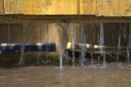 Pet Supply Store «CountryMax - Spencerport», reviews and photos, 4658 W Ridge Rd, Spencerport, NY 14559, USA