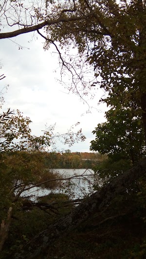 Hayden Falls Park - photo 61