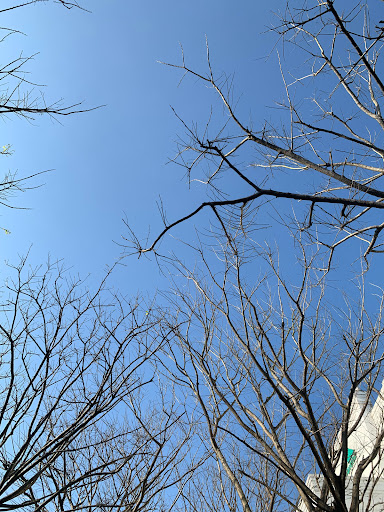 Top 10 cửa hàng đồ gỗ Huyện Đảo Cồn cỏ Quảng Trị 2022