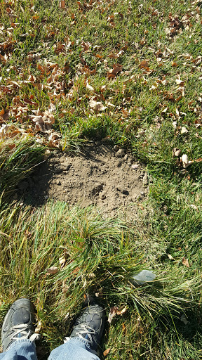 General Contractor «Bell Home Solutions», reviews and photos, 2150 S Abilene St, Aurora, CO 80014, USA