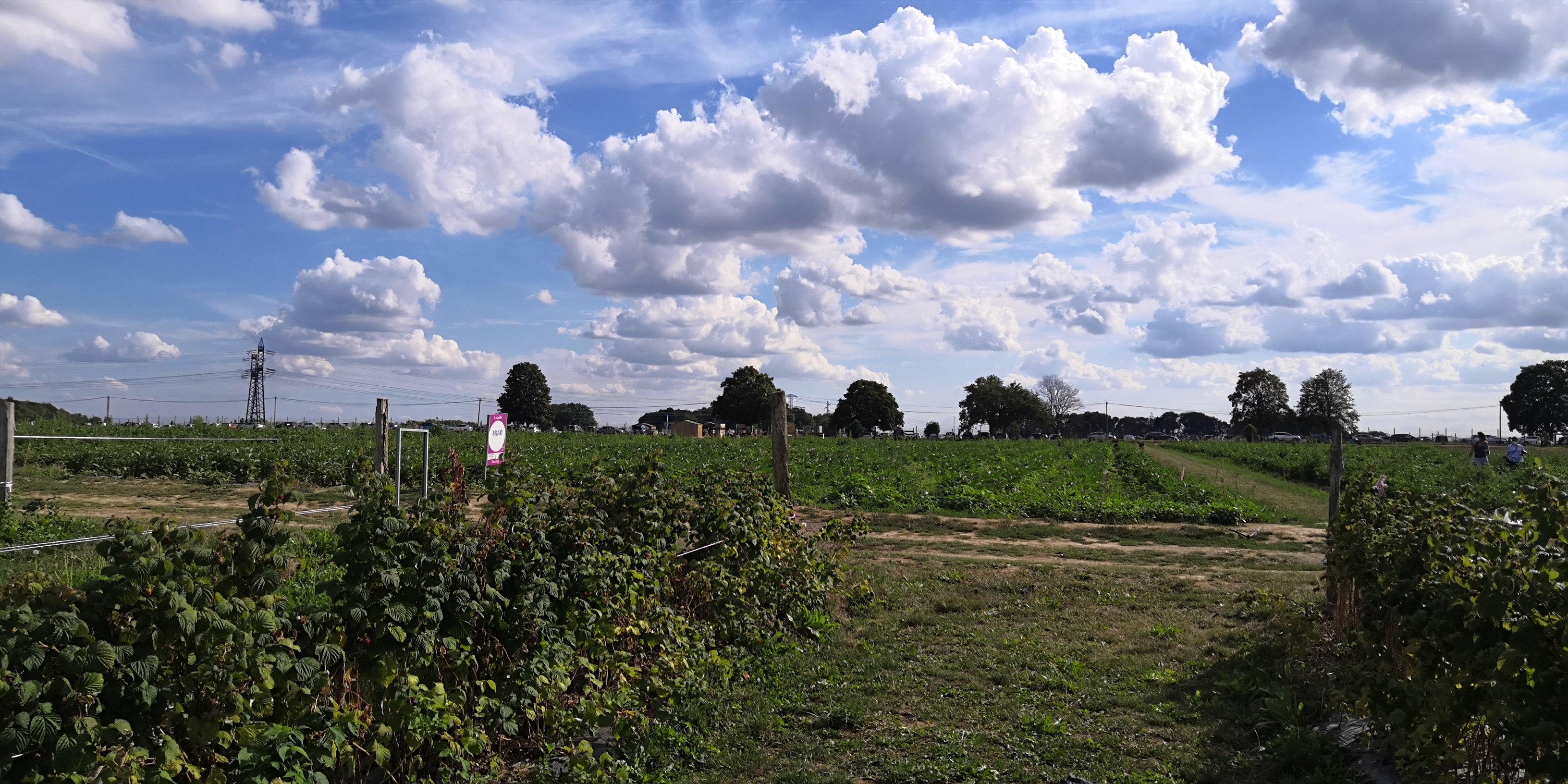 Photo n° 3 de l'avis de ludovic.e fait le 15/08/2020 à 18:54