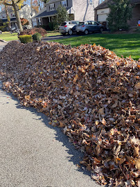 Perrone Landscaping, LLC - Photo 3 - Car repair in Glenside, PA, Philadelphia