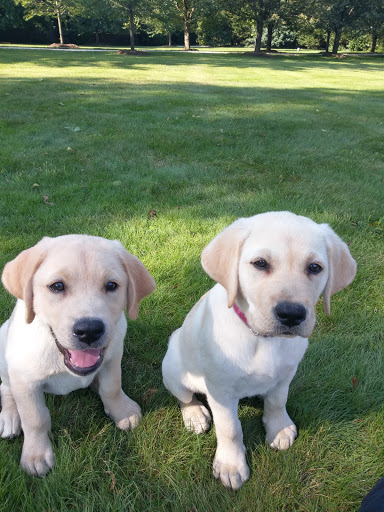 Pet Supply Store «Petco Animal Supplies», reviews and photos, 1391 NJ-35, Middletown, NJ 07748, USA