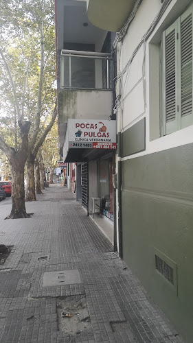 Opiniones de Clínica Veterinaria Pocas Pulgas en Montevideo - Veterinario