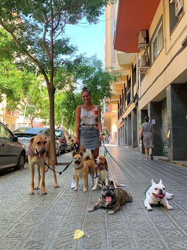 Dog Care Barcelona