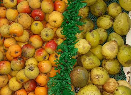 Grocery Store «Supermarket el bajio», reviews and photos, 3200 Buford Hwy, Duluth, GA 30096, USA