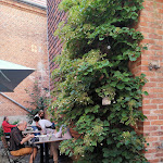 Photo n°7 de l'avis de julia. fait le 07/08/2022 à 16:54 sur le  MÜLLERS Café - Bistro - Kneipe à Schwerin