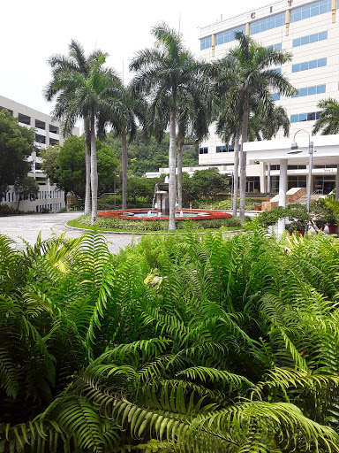 Oficinas de dhl en San Juan