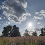 Photo n°1 de l'avis de Harry.l fait le 17/05/2023 à 17:01 sur le  La Plaza à Muggensturm