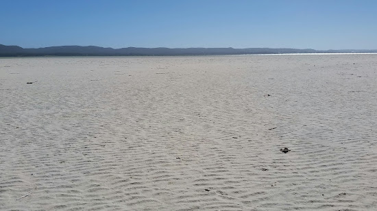 Vancouver Beach