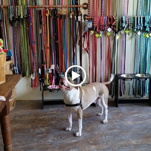 Pet Supply Store «Beowoof Provisions For Pets», reviews and photos, 106 5th St, Hoboken, NJ 07030, USA