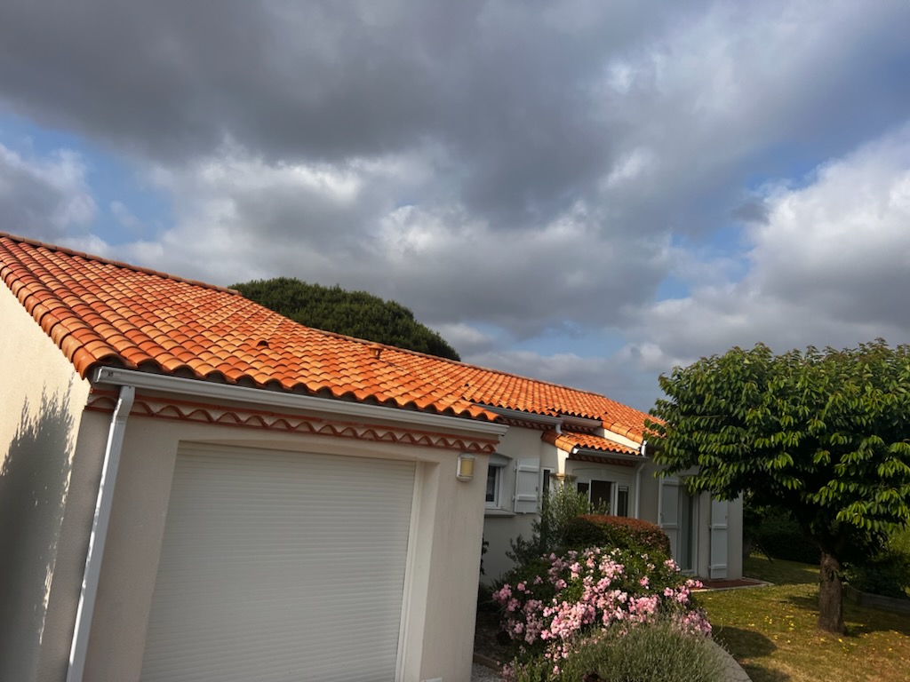 Photo n° 1 de l'avis de régine.e fait le 15/06/2023 à 16:58