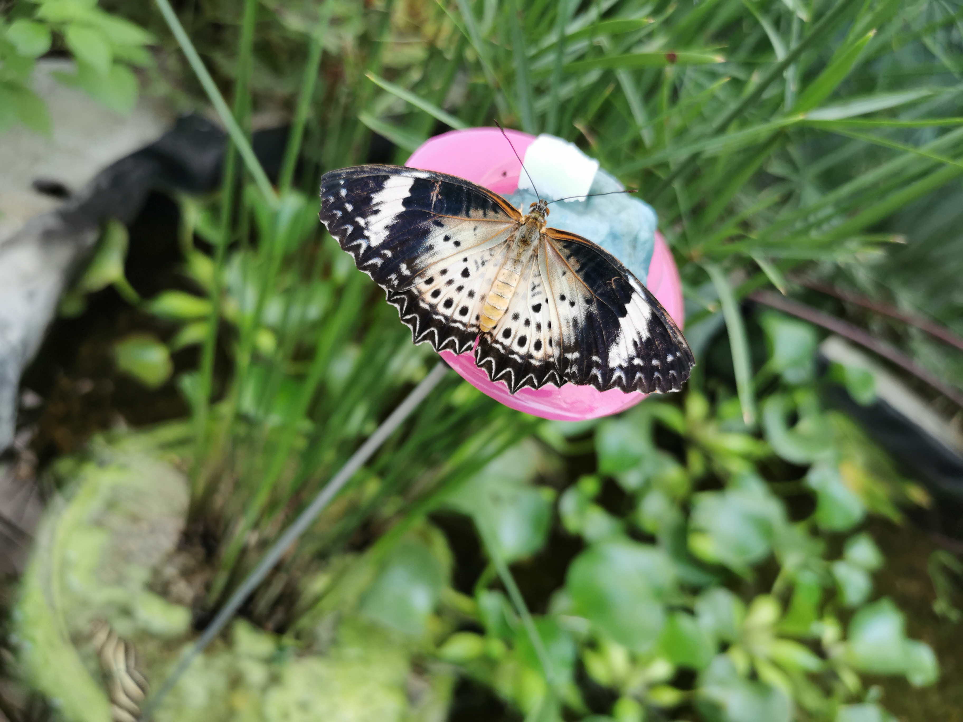 Photo n° 1 de l'avis de Severine. fait le 18/08/2020 à 19:34