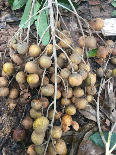 Top 13 cửa hàng kim giáp Huyện Trà Ôn Vĩnh Long 2022