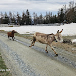 Photo n°6 de l'avis de sergio.a fait le 28/04/2024 à 07:47 sur le  La Maison du Braconnier à Ayas