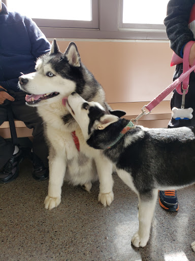 470 McLean Blvd, Paterson, NJ 07513, USA