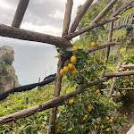 Photo n°2 de l'avis de Timor.a fait le 26/04/2023 à 06:08 sur le  Hotel Ristorante La Pergola à Amalfi