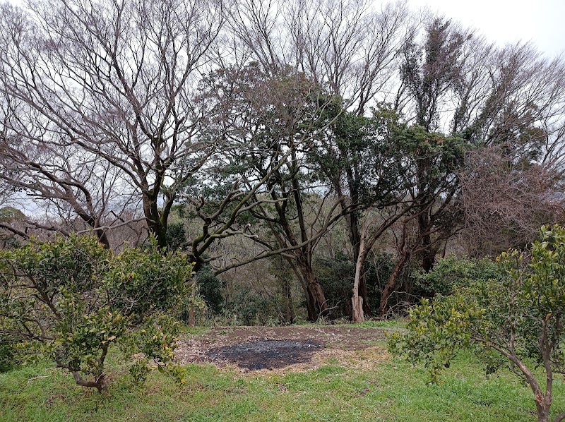 Natural Farm Akisawa(あきさわ園)