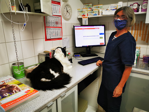 Veterinary practice Abbensen GmbH unter Edemissen, 