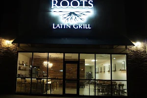Roots Latin Grill image