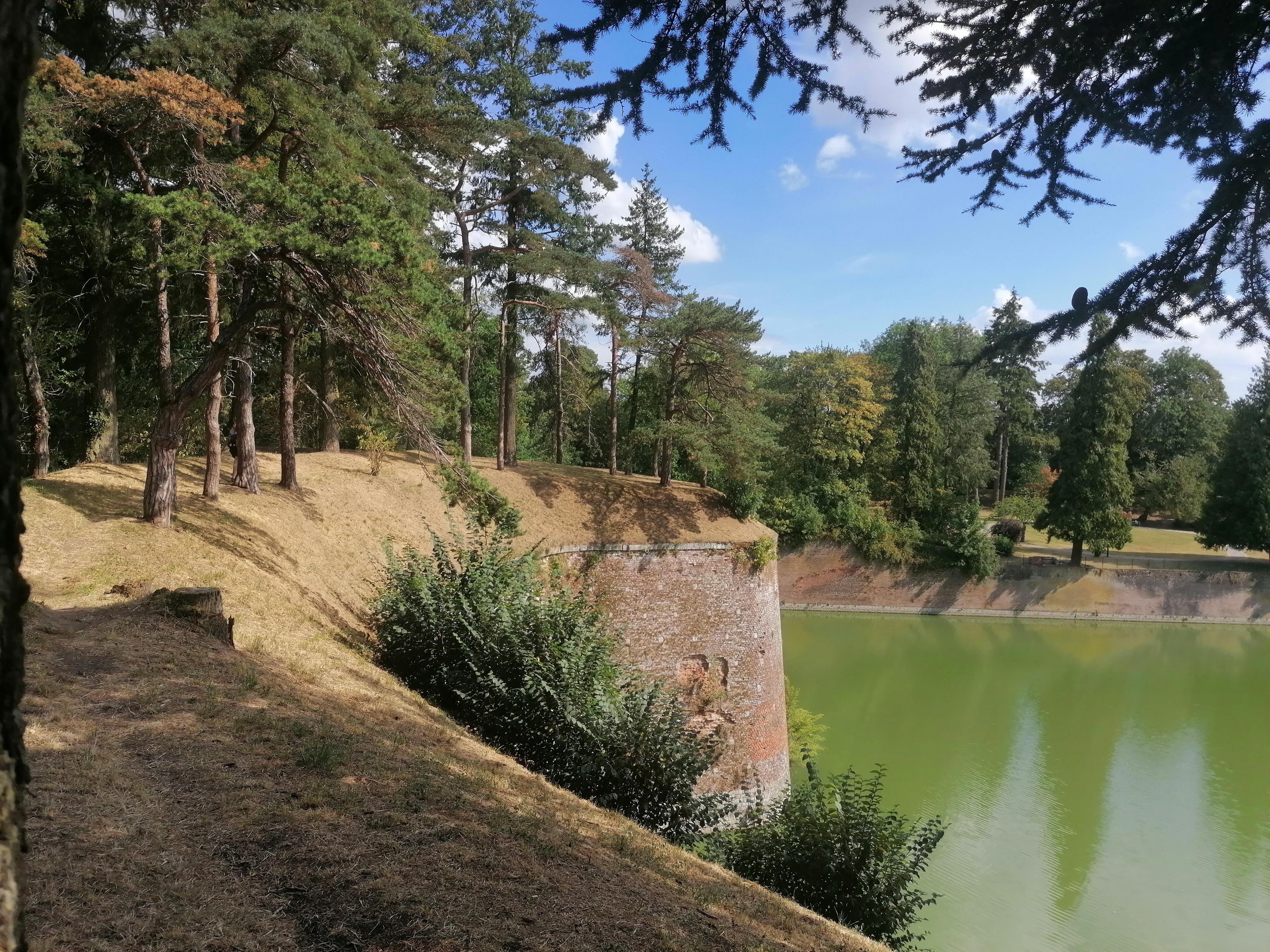 Photo n° 1 de l'avis de Michaël.e fait le 19/07/2021 à 11:33